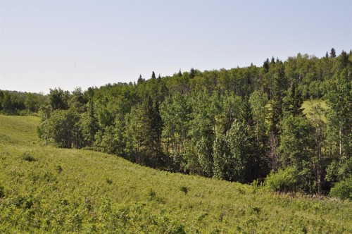 - -, Millarville, AB 