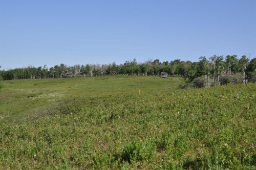 - -, Millarville, AB 