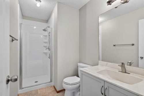 47 Mt Apex Crescent Se, Calgary, AB - Indoor Photo Showing Bathroom