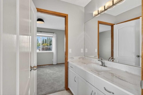 47 Mt Apex Crescent Se, Calgary, AB - Indoor Photo Showing Bathroom
