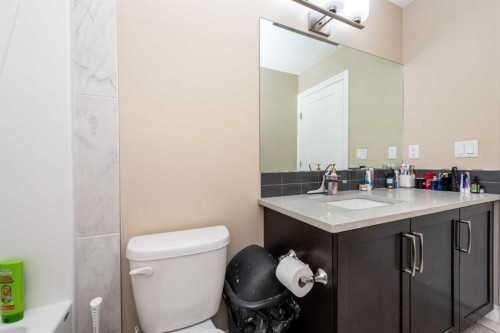 287 Baywater Way Sw, Airdrie, AB - Indoor Photo Showing Bathroom
