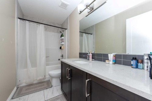 287 Baywater Way Sw, Airdrie, AB - Indoor Photo Showing Bathroom