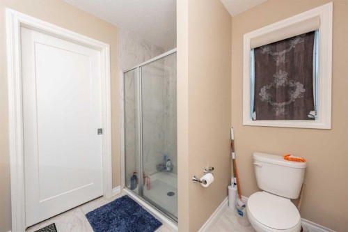 287 Baywater Way Sw, Airdrie, AB - Indoor Photo Showing Bathroom