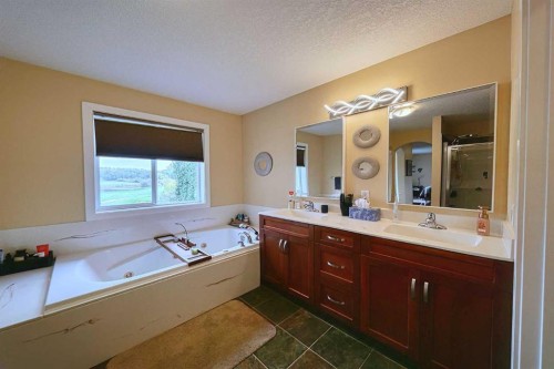 66 Crystal Green Drive, Okotoks, AB - Indoor Photo Showing Bathroom