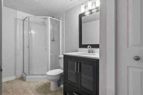4702 21 Street Sw, Calgary, AB - Indoor Photo Showing Bathroom