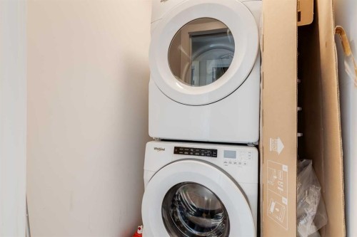 104 Red Embers Manor Ne, Calgary, AB - Indoor Photo Showing Laundry Room