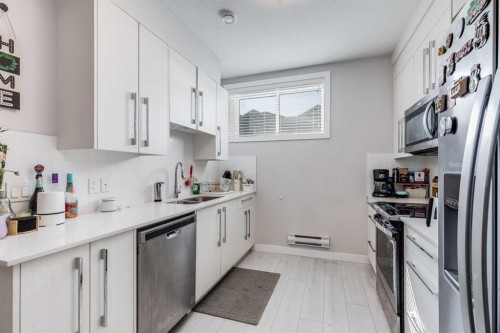 104 Red Embers Manor Ne, Calgary, AB - Indoor Photo Showing Kitchen With Stainless Steel Kitchen With Double Sink