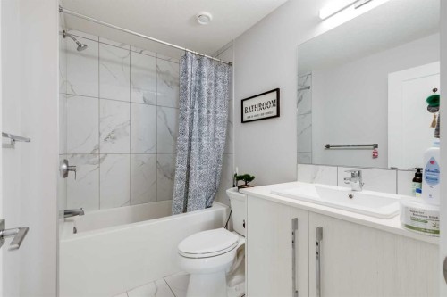 104 Red Embers Manor Ne, Calgary, AB - Indoor Photo Showing Bathroom