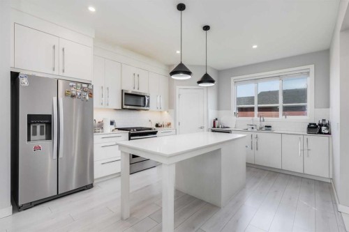 104 Red Embers Manor Ne, Calgary, AB - Indoor Photo Showing Kitchen With Stainless Steel Kitchen With Upgraded Kitchen