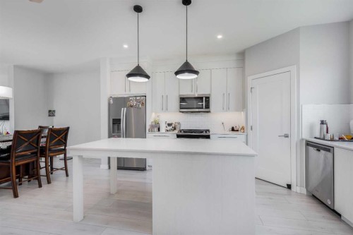 104 Red Embers Manor Ne, Calgary, AB - Indoor Photo Showing Kitchen With Stainless Steel Kitchen With Upgraded Kitchen