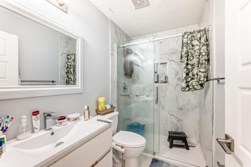 948 Rundlecairn Way Ne, Calgary, AB - Indoor Photo Showing Bathroom