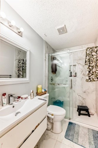 948 Rundlecairn Way Ne, Calgary, AB - Indoor Photo Showing Bathroom