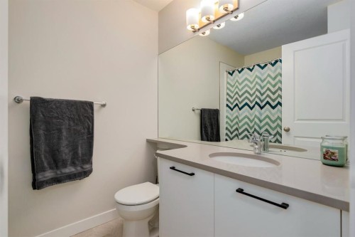 536 Canals Crossing Sw, Airdrie, AB - Indoor Photo Showing Bathroom