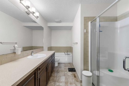 107 Masters Heights Se, Calgary, AB - Indoor Photo Showing Bathroom