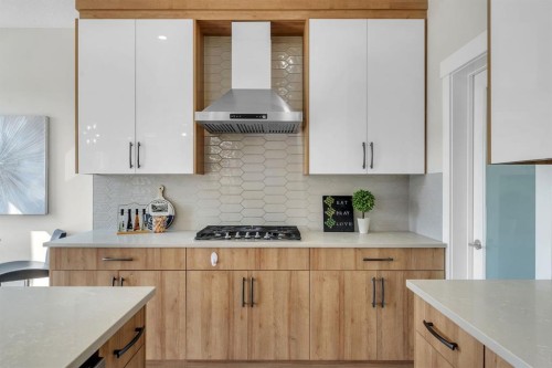 229 Walgrove Terrace Se, Calgary, AB - Indoor Photo Showing Kitchen With Upgraded Kitchen