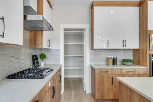 229 Walgrove Terrace Se, Calgary, AB - Indoor Photo Showing Kitchen With Upgraded Kitchen