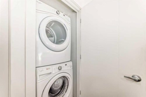 102-1629 38 Street Sw, Calgary, AB - Indoor Photo Showing Laundry Room