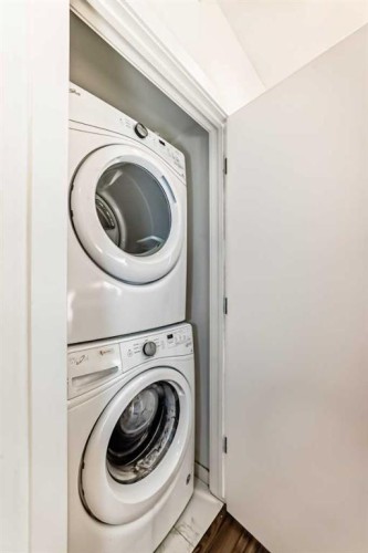 102-1629 38 Street Sw, Calgary, AB - Indoor Photo Showing Laundry Room