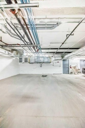 102-1629 38 Street Sw, Calgary, AB - Indoor Photo Showing Garage