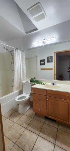 66 Cramond Circle Se, Calgary, AB - Indoor Photo Showing Bathroom
