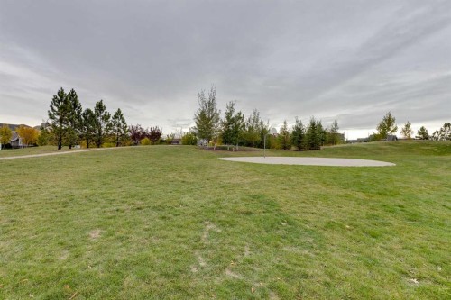 1209 Coopers Drive Sw, Airdrie, AB - Outdoor With View