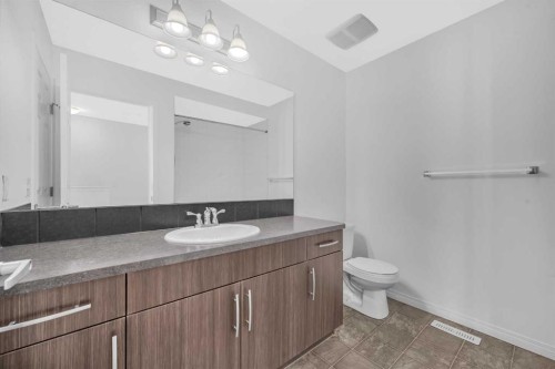 304 Windstone Gardens Sw, Airdrie, AB - Indoor Photo Showing Bathroom
