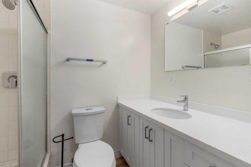 202-611 67 Avenue Sw, Calgary, AB - Indoor Photo Showing Bathroom