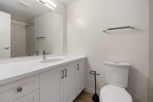 202-611 67 Avenue Sw, Calgary, AB - Indoor Photo Showing Bathroom