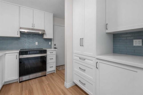 202-611 67 Avenue Sw, Calgary, AB - Indoor Photo Showing Kitchen