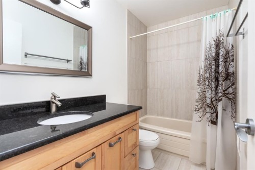 207 Whiteview Bay Ne, Calgary, AB - Indoor Photo Showing Bathroom