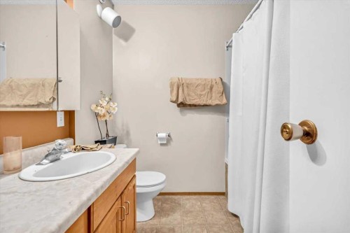 201 4 Avenue Se, High River, AB - Indoor Photo Showing Bathroom
