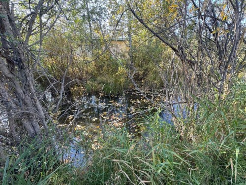 82-200 4 Avenue Sw, Sundre, AB 