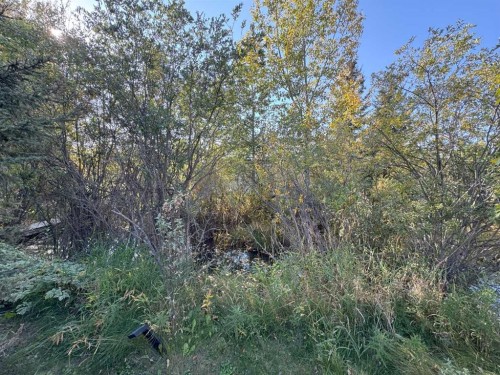 82-200 4 Avenue Sw, Sundre, AB 