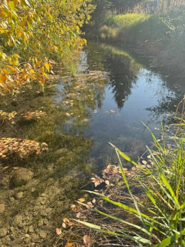 82-200 4 Avenue Sw, Sundre, AB 