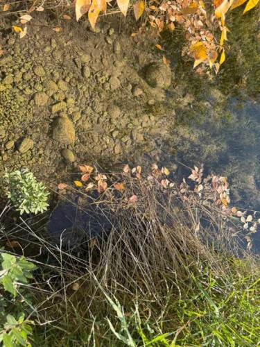 82-200 4 Avenue Sw, Sundre, AB 