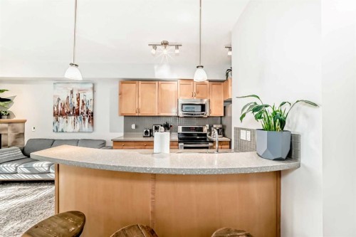 214-2 Hemlock Crescent Sw, Calgary, AB - Indoor Photo Showing Kitchen
