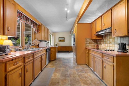 10 Varsville Place Nw, Calgary, AB - Indoor Photo Showing Kitchen With Double Sink
