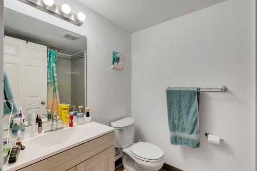 302-1724 26 Avenue Sw, Calgary, AB - Indoor Photo Showing Bathroom