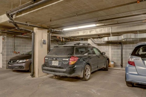 302-1724 26 Avenue Sw, Calgary, AB - Indoor Photo Showing Garage