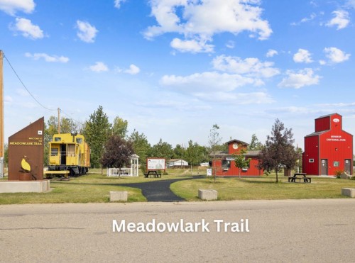 19 Clover Crescent, Beiseker, AB - Outdoor