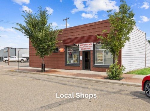 19 Clover Crescent, Beiseker, AB - Outdoor