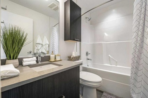 1307-624 8 Avenue Se, Calgary, AB - Indoor Photo Showing Bathroom