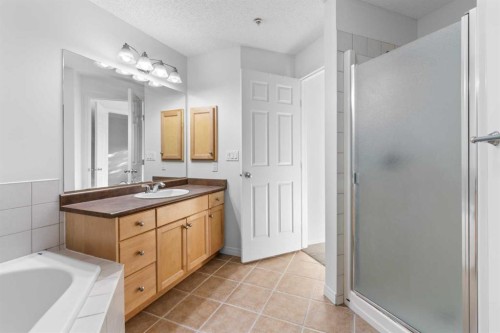 303-2416 Erlton Street Sw, Calgary, AB - Indoor Photo Showing Bathroom