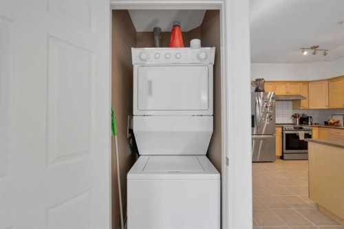 303-2416 Erlton Street Sw, Calgary, AB - Indoor Photo Showing Laundry Room