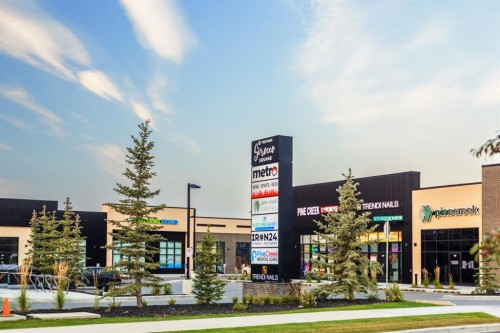 80 Creekside Path Sw, Calgary, AB - Outdoor