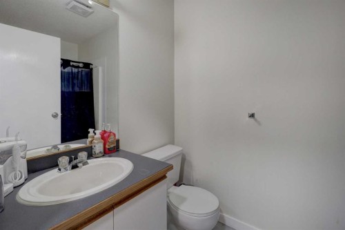 112 Martin Crossing Court Ne, Calgary, AB - Indoor Photo Showing Bathroom