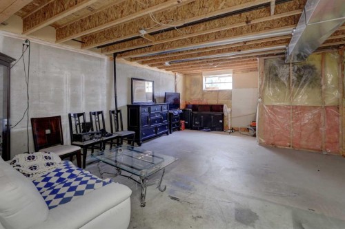 112 Martin Crossing Court Ne, Calgary, AB - Indoor Photo Showing Basement