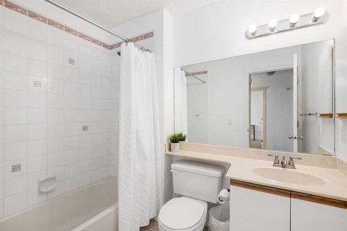 85 Bridlewood Street Sw, Calgary, AB - Indoor Photo Showing Bathroom