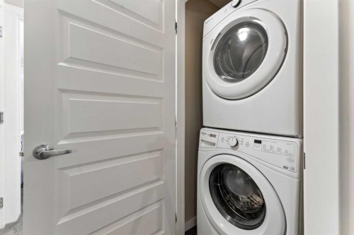 927 Auburn Bay Circle Se, Calgary, AB - Indoor Photo Showing Laundry Room