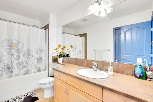 204 Covehaven Gardens Ne, Calgary, AB - Indoor Photo Showing Bathroom
